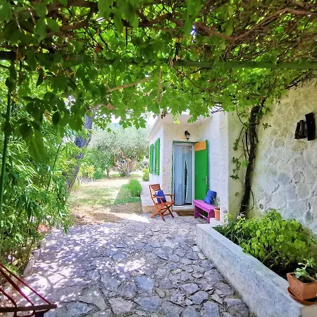 Kucica